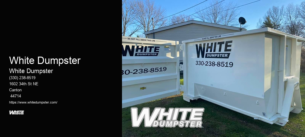 Budget Dumpster